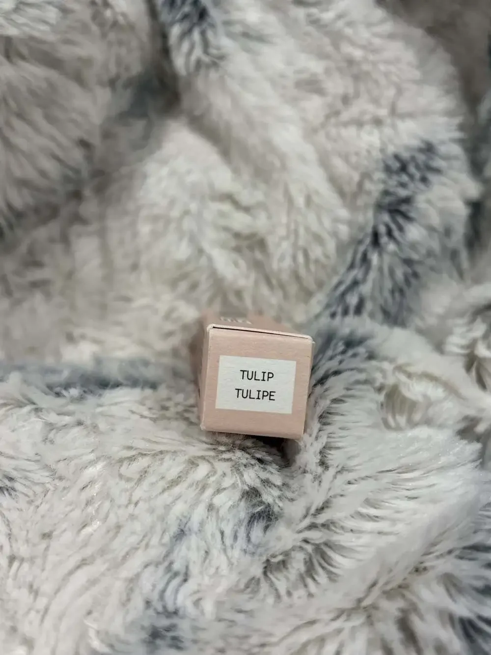 Jones Road The Lip Tint in Cocoa Rose